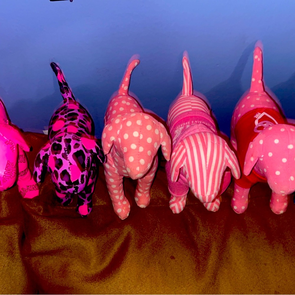 Victoria’s Secret pink dogs